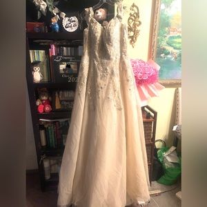 Cinderella Divine Dress